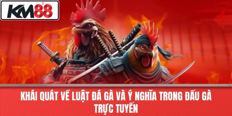 Khái Quát Về Luật Đá Gà Và Ý Nghĩa Trong Đấu Gà Trực Tuyến