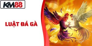 Luật Đá Gà KM88 - Chuẩn Xác Dễ Hiểu Dành Cho Tân Thủ