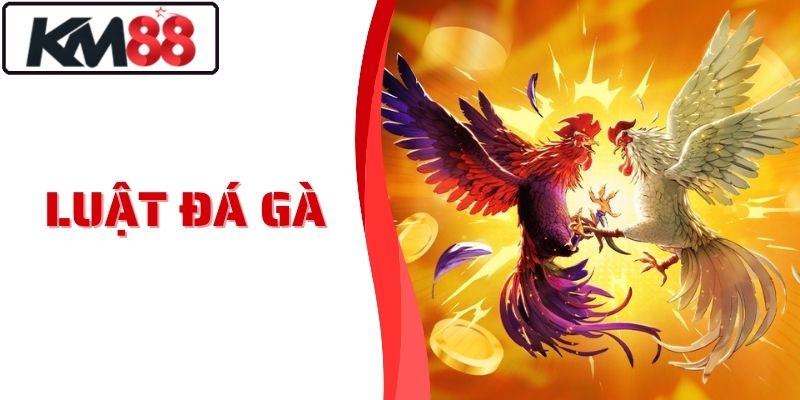 Luật Đá Gà KM88 - Chuẩn Xác Dễ Hiểu Dành Cho Tân Thủ