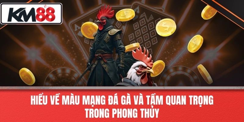 Hiểu Về Màu Mạng Đá Gà Và Tầm Quan Trọng Trong Phong Thủy