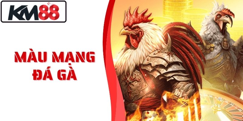 Màu Mạng Đá Gà Tại KM88 Chuẩn Phong Thủy Dễ Thắng Lớn