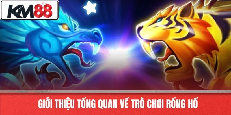 Giới thiệu tổng quan về trò chơi rồng hổ