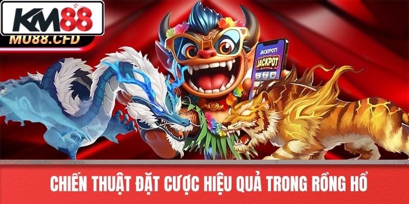 Chiến thuật đặt cược hiệu quả trong rồng hổ