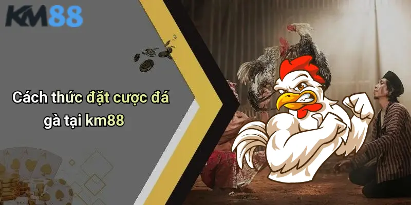 Cách thức đặt cược đá gà tại km88