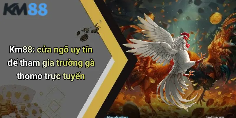 Km88: cửa ngõ uy tín để tham gia trường gà thomo trực tuyến