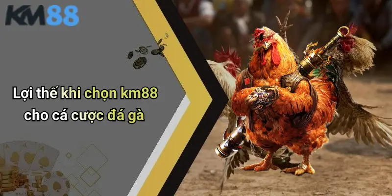Lợi thế khi chọn km88 cho cá cược đá gà