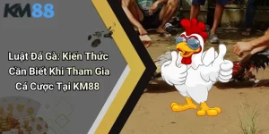 Luật Đá Gà: Kiến Thức Cần Biết Khi Tham Gia Cá Cược Tại KM88