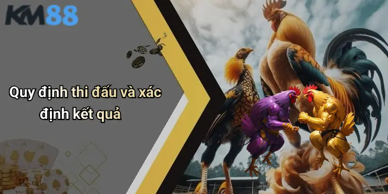 Quy định thi đấu và xác định kết quả