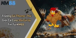 Trường Gà Thomo: Thế Giới Cá Cược Đá Gà Uy Tín Từ KM88